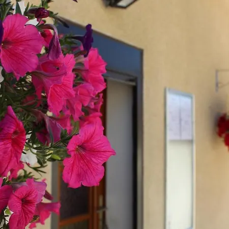 Le Domaine De L Etang Le Merger Semesterbostad Oeuilly